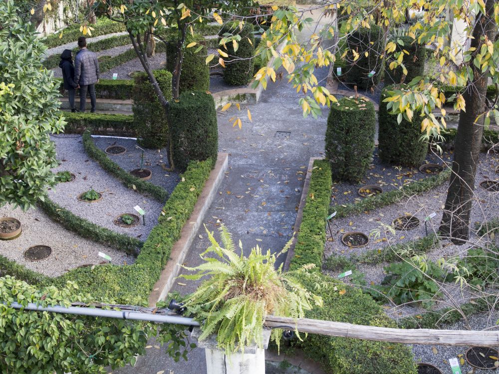Giardino di Minerva, Salerno