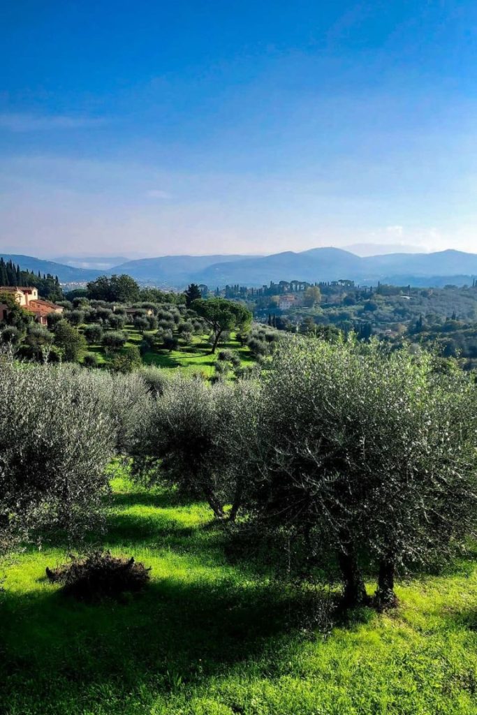 Best views in Florence