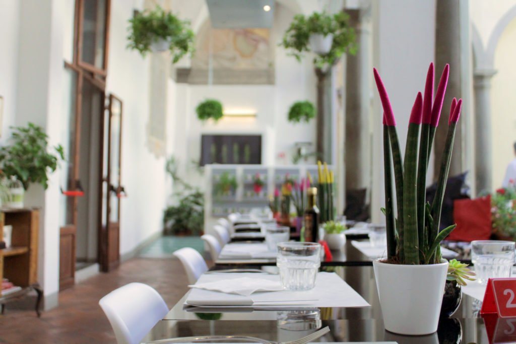 Quinoa restaurant in Florence