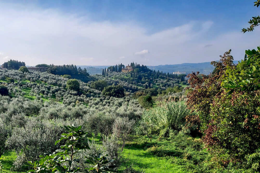 best views in Florence