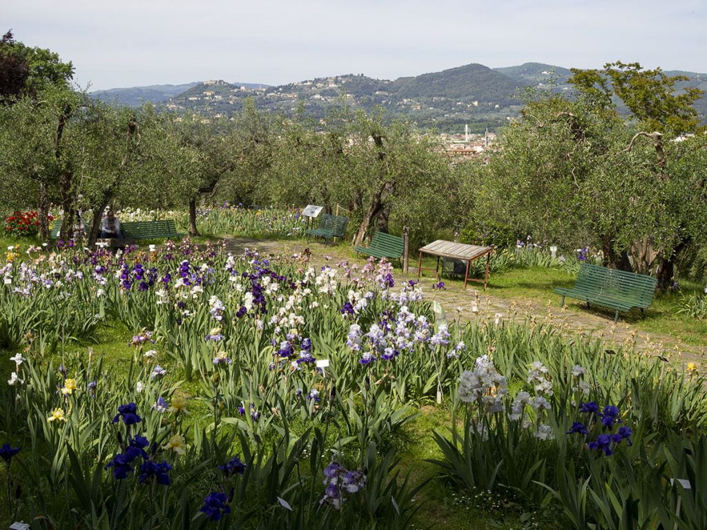 Best time for a visit in Florence