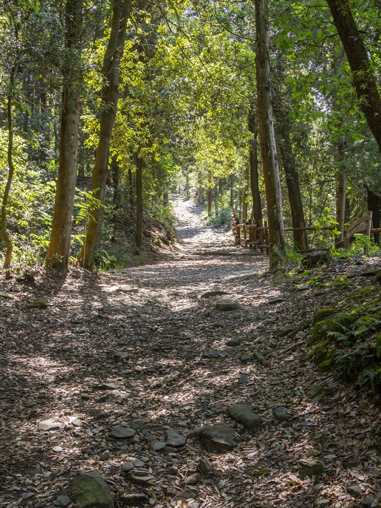 Shady path on Monte Ceceri