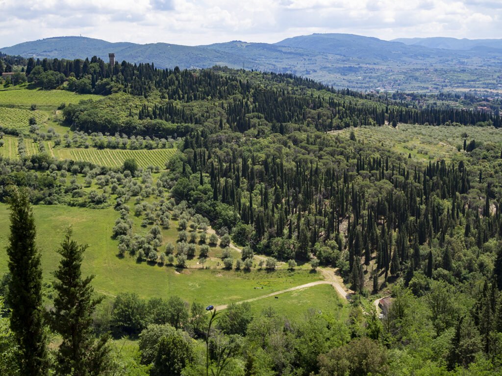 View from Monte Ceceri on Maiano