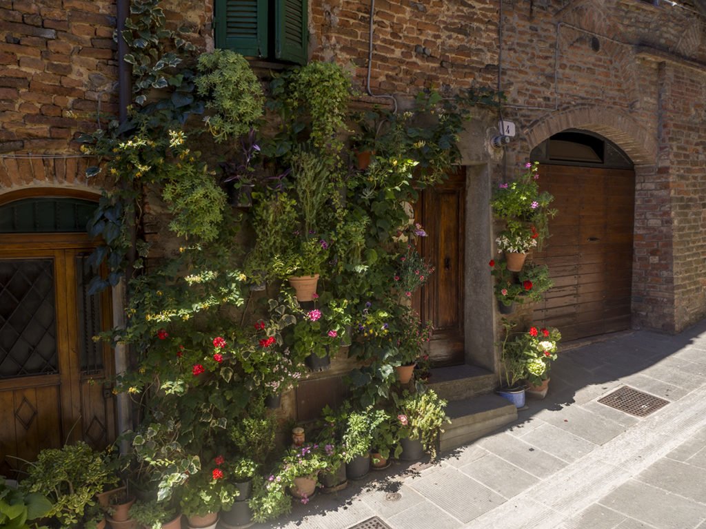 Flower decoration in Città della Pieve.
