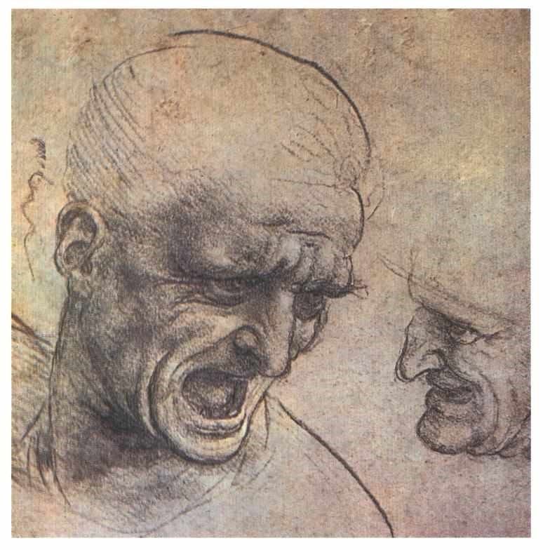 Leonardo da Vinci, Study for the heads of two warriors, 1504-05, Fine Arts Museum, Budapest.