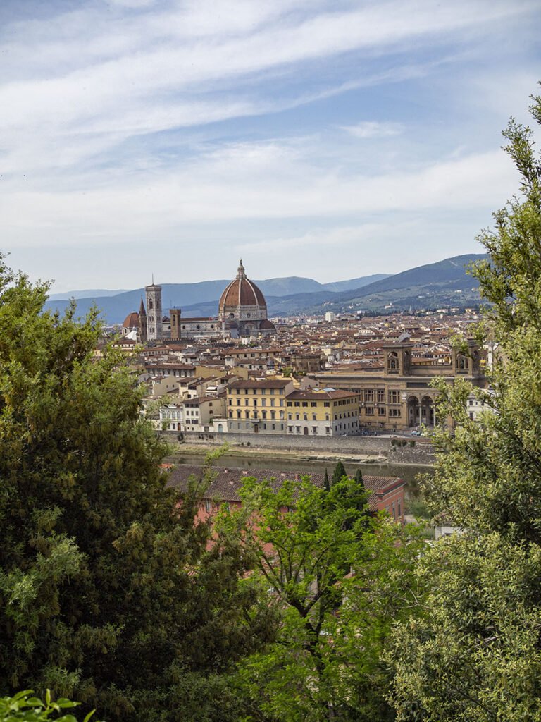 View from Poggi's ramps on Florence