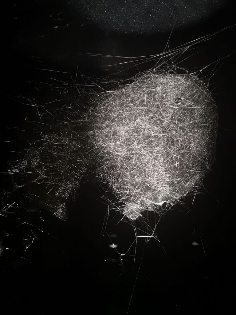 Tomas Saraceno, Webs of At-tent(s)ion