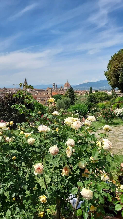 tour firenze 3 giorni
