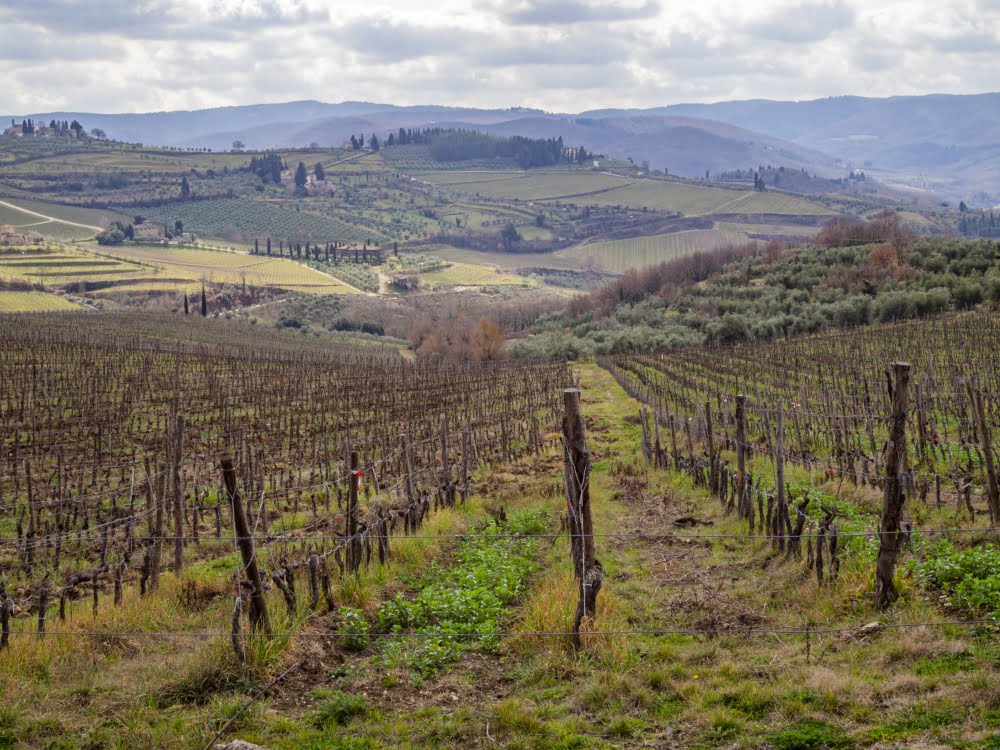 When to visit Florence