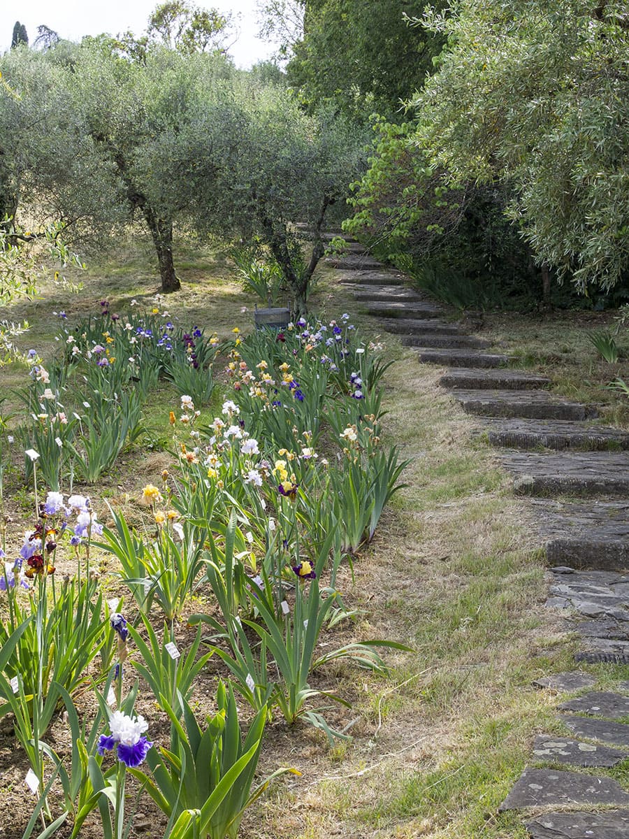 Gardens in Florence
