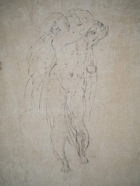 Michelangelo's secret room